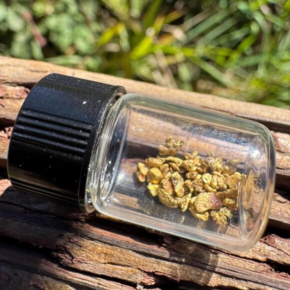 Gold Nuggets in Jar - California Placer Gold - 1.36 grams - Picture 1 of 7